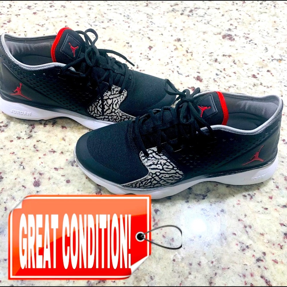 Jordan Flow Sneaker Leather Zoom Air 833969-001